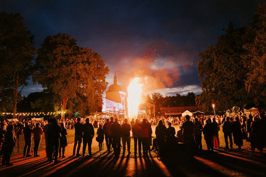 Valmiermuižas etnomūzikas festivāls '25